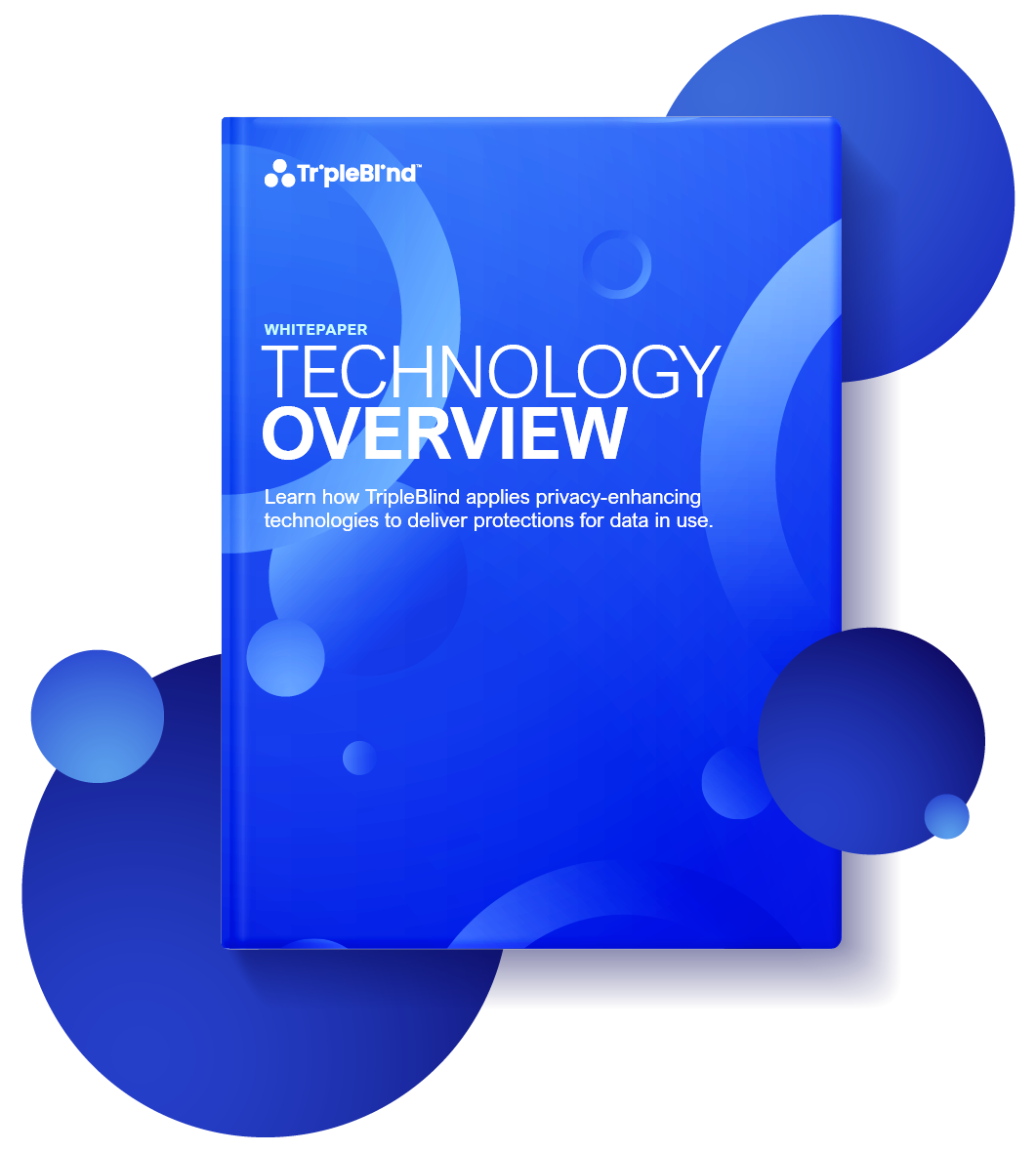 TripleBlind Technology Overview Whitepaper